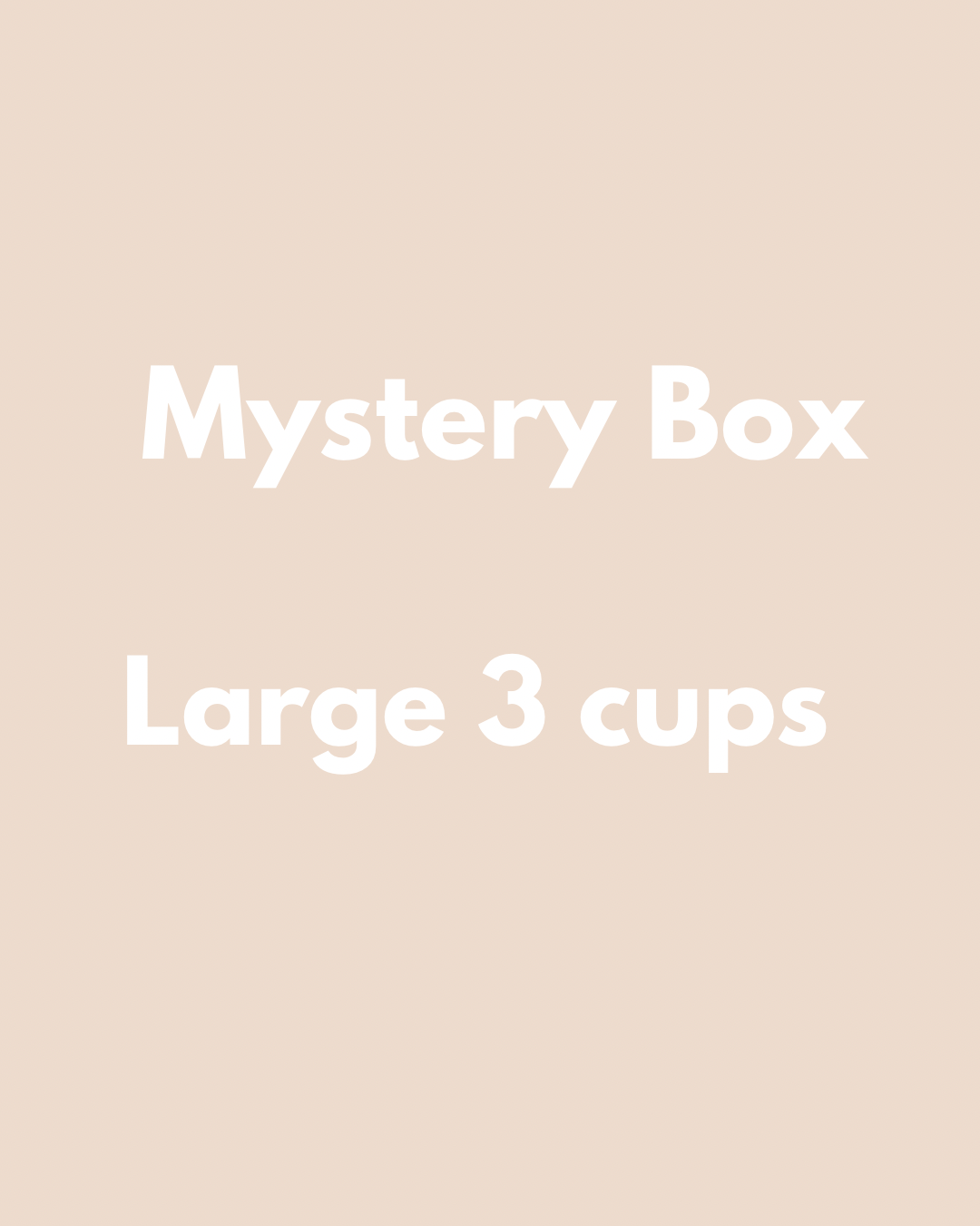 Large Mystery Box