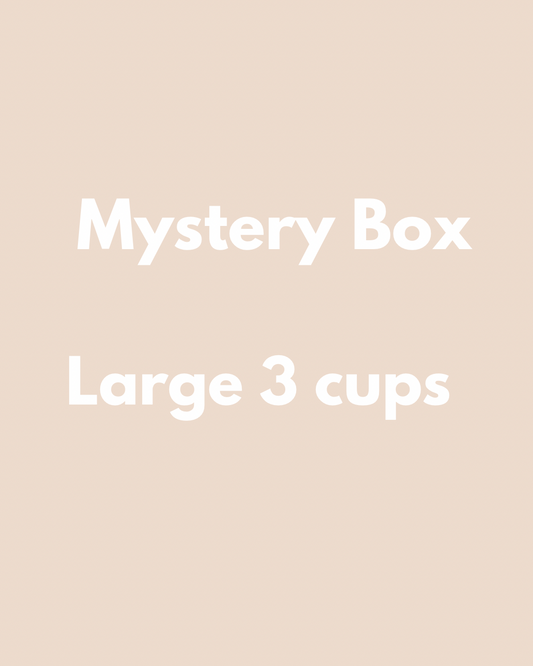 Large Mystery Box