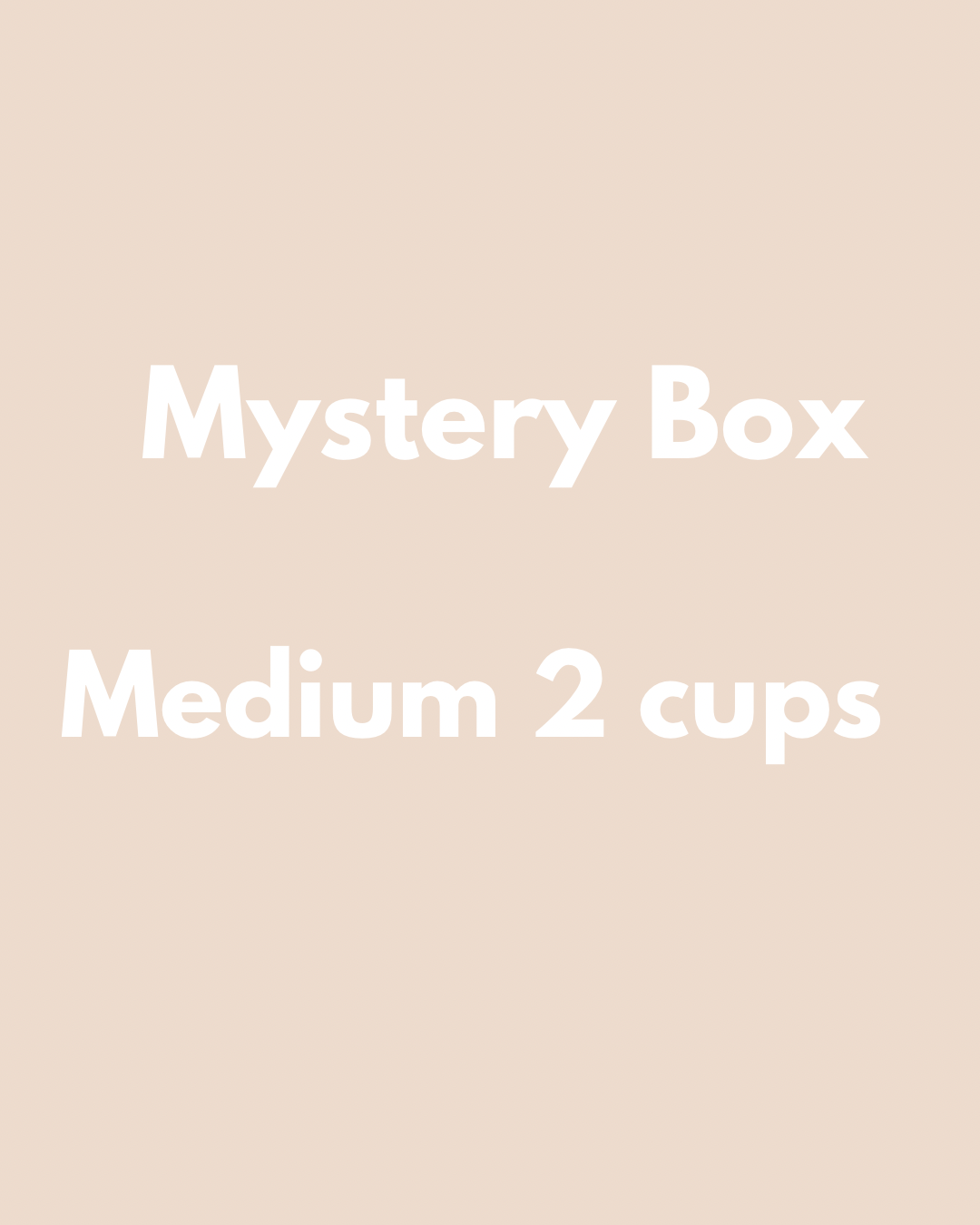 Medium Mystery Box