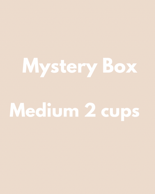 Medium Mystery Box